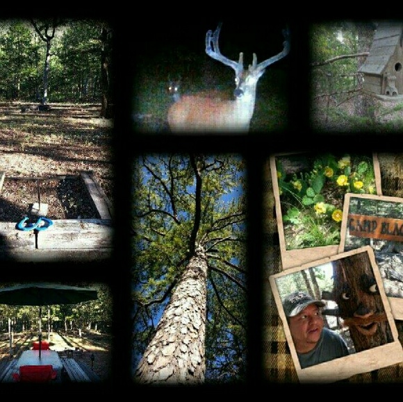 Meet your Posher, Patricia - Picture 4 of 8