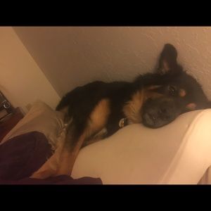 Meet your Posher, Victor