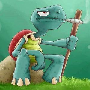 Meet your Posher, Noris