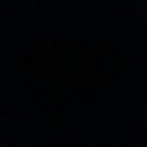 Meet your Posher, Shonda