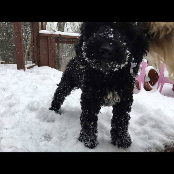 Meet your Posher, Ryan