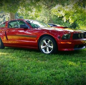 Meet your Posher, Preston