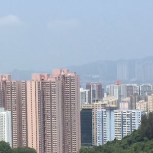 Meet your Posher, Sammy