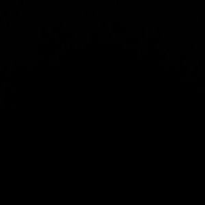 Meet your Posher, Regina