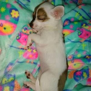 Meet your Posher, Marla