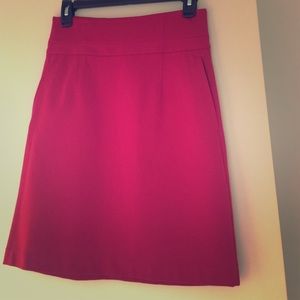 Theory brand new never worn skirt Size 6