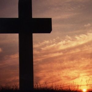 Meet your Posher, Alana