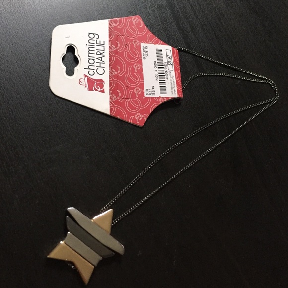 🌼Charming Charlie Gunmetal  Star Necklace