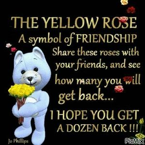 Meet your Posher, Lynn