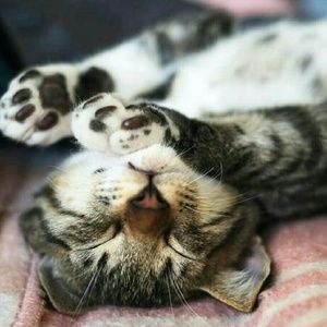 Meet your Posher, Katherine