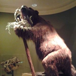 Meet your Posher, Scott