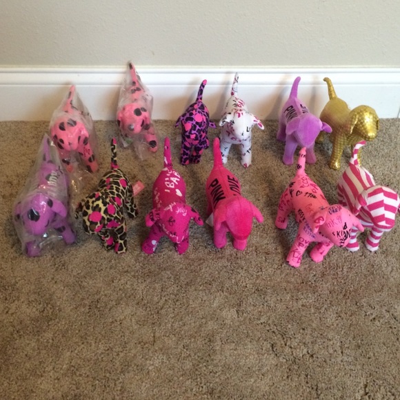 10 victors secret dogs
