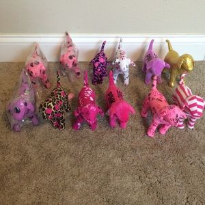 10 victors secret dogs