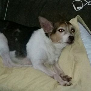 Meet your Posher, Chaz