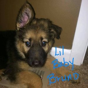 Meet your Posher, Monica