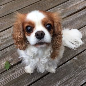 Meet your Posher, Colette