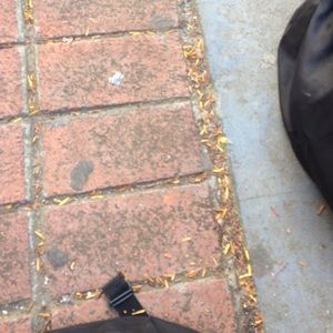 Meet your Posher, Pierce