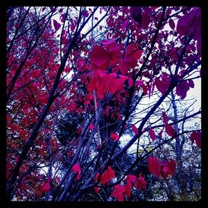 No trades-Offers accepted-All sizes