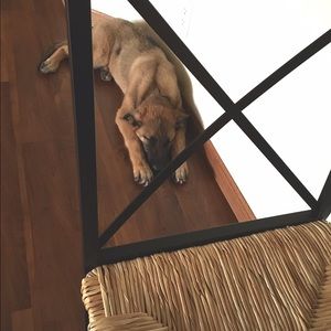 Meet your Posher, Bao