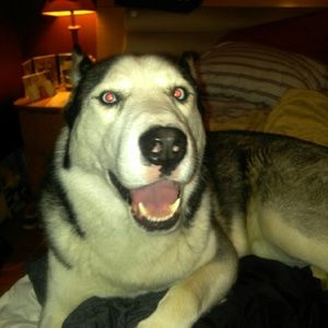 Meet your Posher, Cecilia