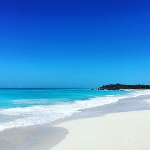 Meet your Posher, Kara