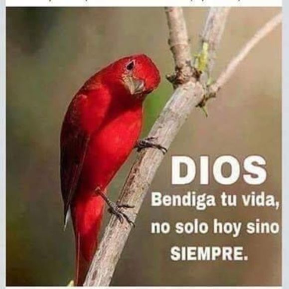 Meet your Posher, Donely