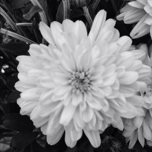 Meet your Posher, Ashleigh