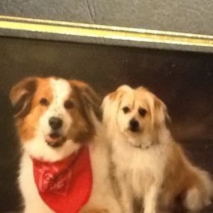 Meet your Posher, Sharon