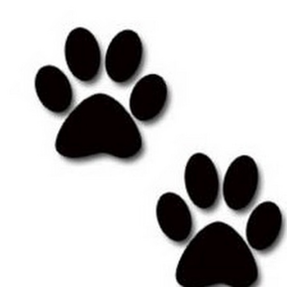 Meet your Posher, Connie - Picture 1 of 1