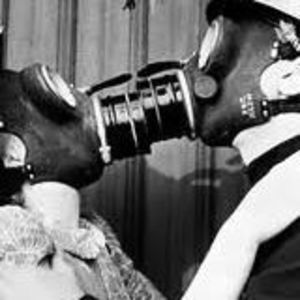 Meet your Posher, Amelia