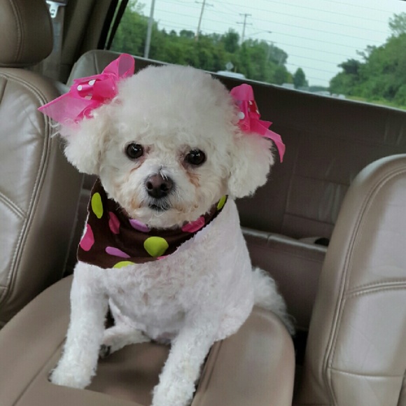 Meet your Posher, Claudia