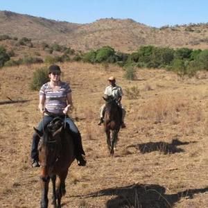 Meet your Posher, Bridget