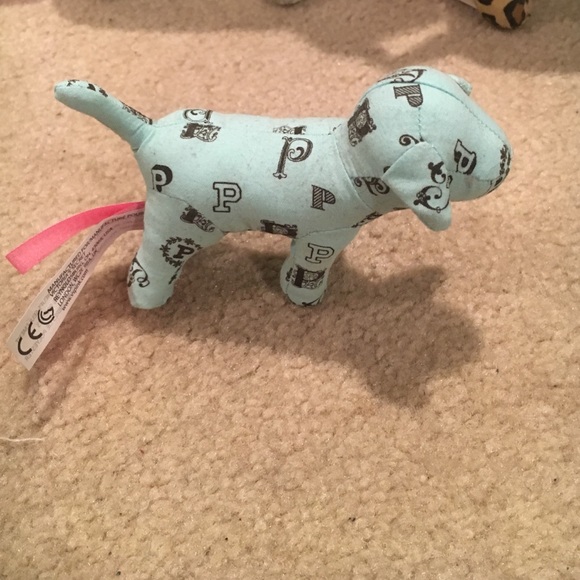 Mini pink dog
