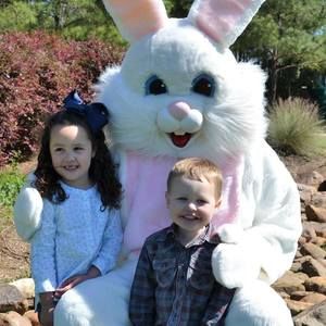 Meet your Posher, Libby