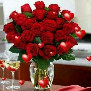 Meet your Posher, Lucero