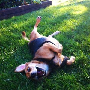 Meet your Posher, Enjoli