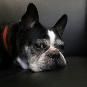 Meet your Posher, Leslie