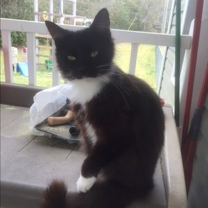 Meet your Posher, Kaitlyn