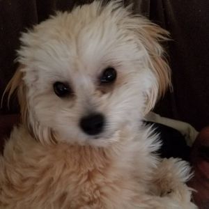 Meet your Posher, Paula