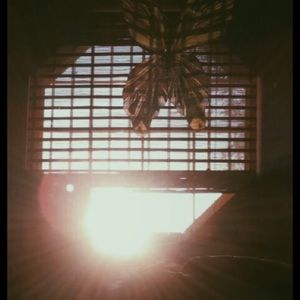 Meet your Posher, Chloe