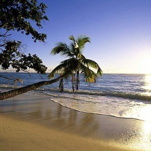 Meet your Posher, Jeannie