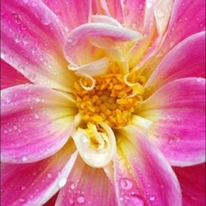 Meet your Posher, Gosia