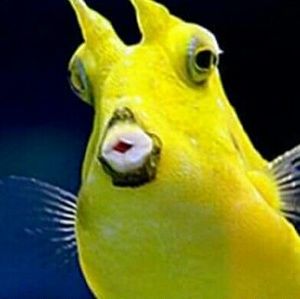 Meet your Posher, Leah