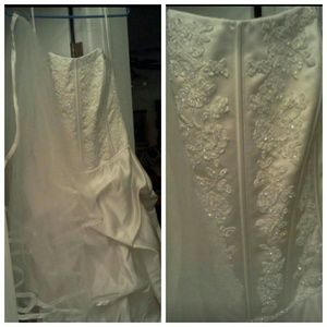 David's Bridal wedding dress and veil