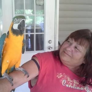 Meet your Posher, Janet