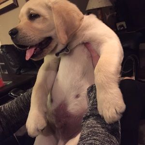 Meet your Posher, Brittany