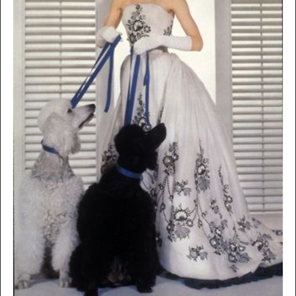 COME ON, LETS GROW!!! - Picture 2 of 2