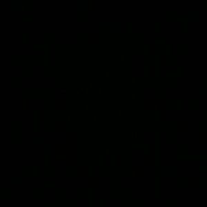 Meet your Posher, Marlyn