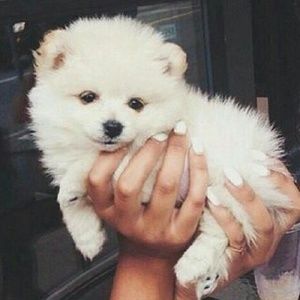 Meet your Posher, Tania