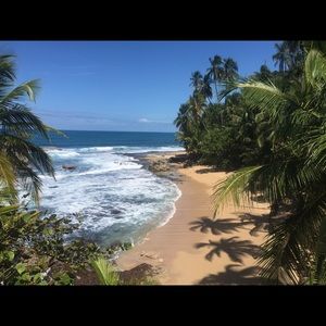 Meet your Posher, Jayden